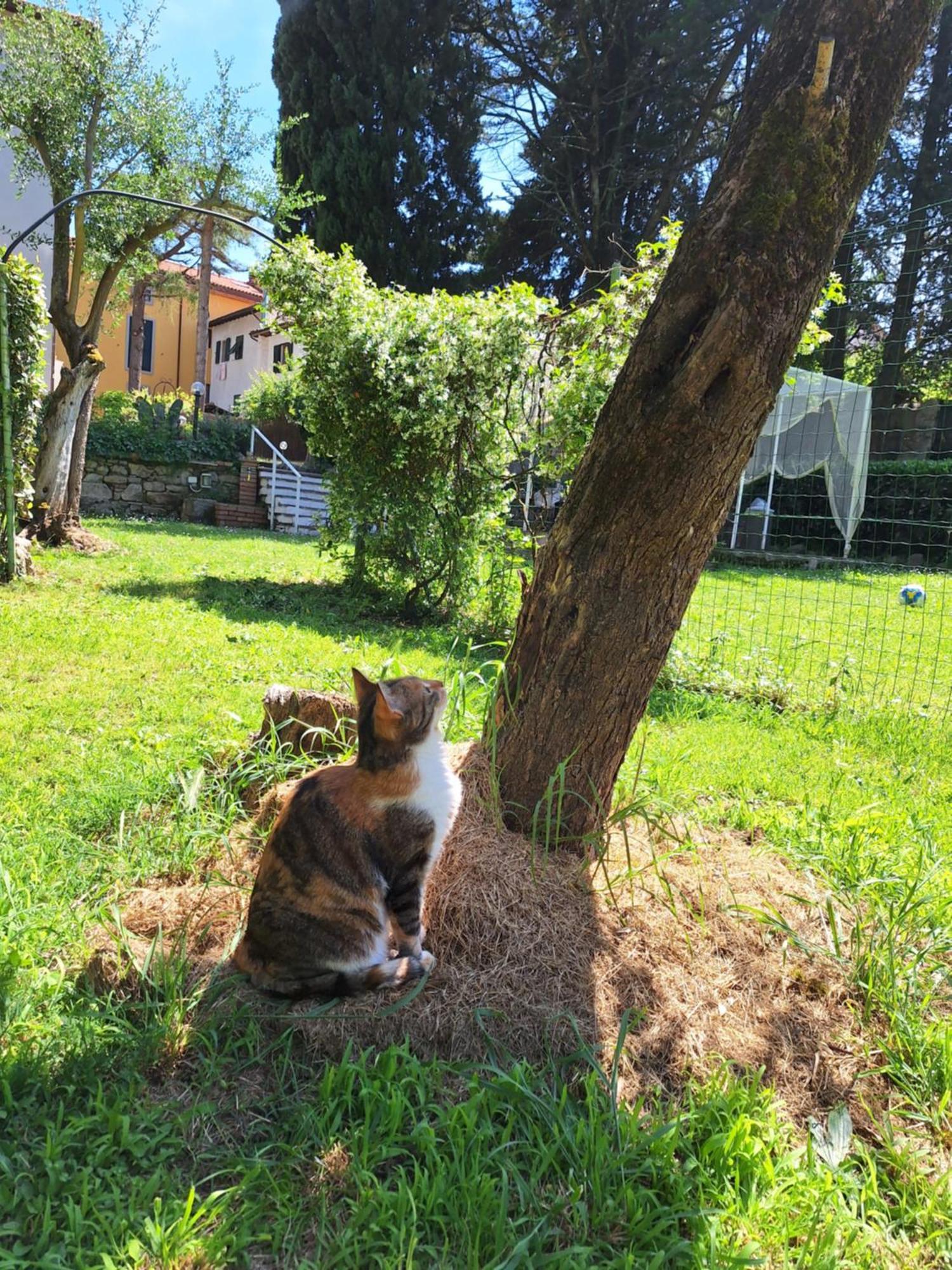 Mama' Hotel Castell'Anselmo Kültér fotó